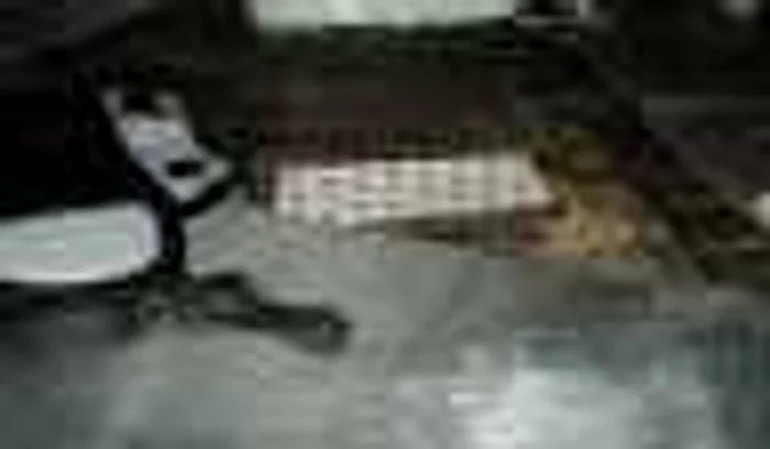 Ţigări de contrabandă la Siret