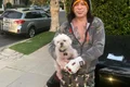 mickey rourke king carlos maidanezul jpeg