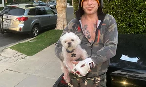 mickey rourke king carlos maidanezul jpeg