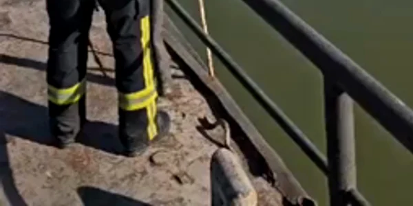 WhatsApp Video 2023 10 11 at 10 30 46 mp4 thumbnail png