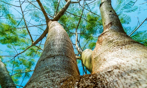 1 69101 original jpg jpeg