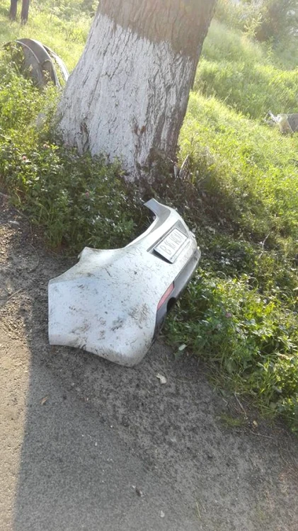 Patronul Hexi Pharma a murit într-un accident. Dan Condrea a intrat cu viteză într-un copac din afara carosabilului