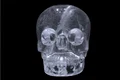 1 crystal skull 1024x631 jpg jpeg