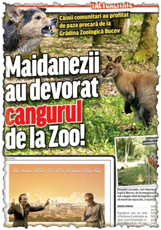 La Zoo Bucov sunt deja alţi patru lei