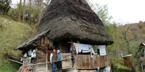 batrani mogos