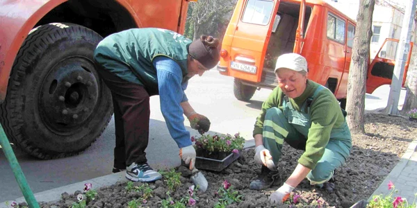 Panseluţele au fost puse în pământ