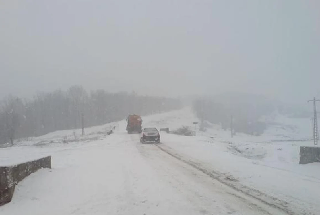 
    (Foto: Arhivă)  