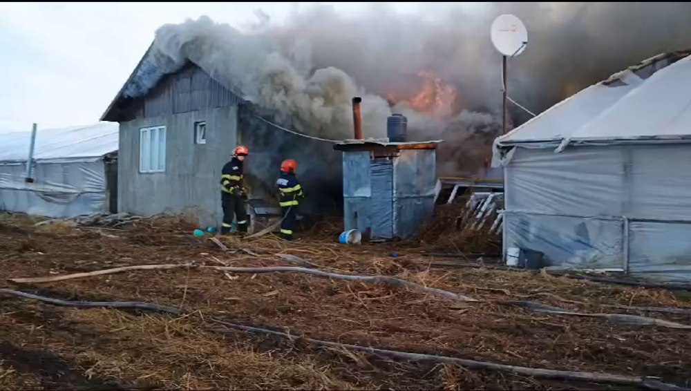 Incendiu violent la o fermă din județul Galați. Proprietarul a vrut să stingă focul singur și a suferit arsuri VIDEO