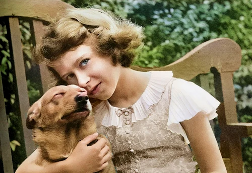 Corgi cainii Reginei jpg