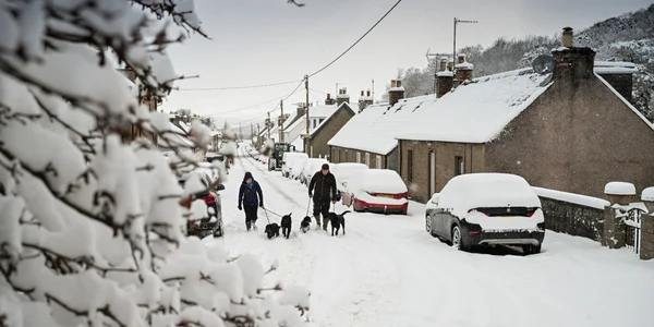 ninsori abundente in europa. foto GETTYIMAGES