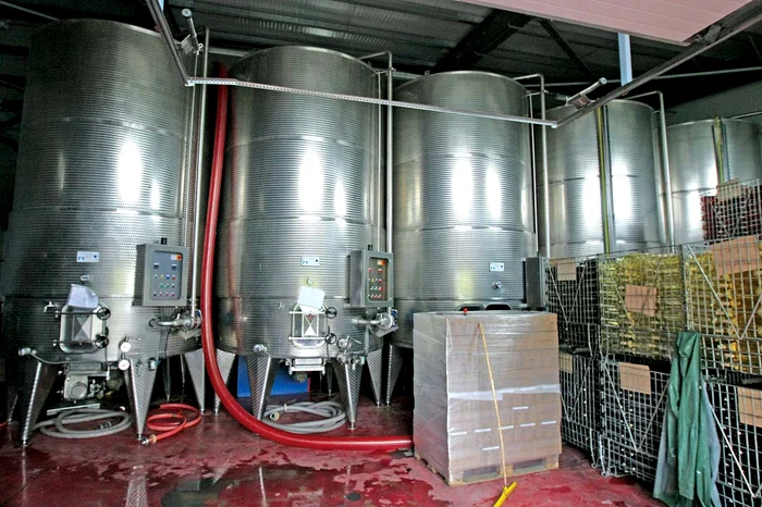 În acest an se vor produce circa 4 milioane de hectolitri de vinFoto: Dorin Constanda