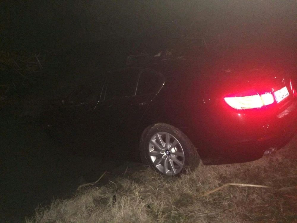Maşina a lovit caii şi s-a oprit într-un copac