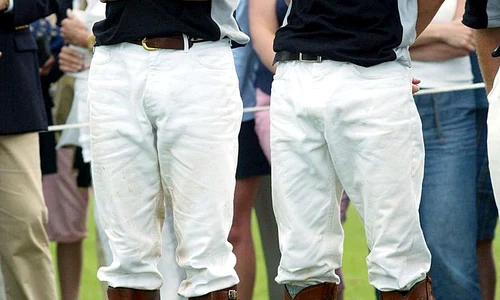 Royal Princes Plead For Burrell To 'End The Revelations' jpeg