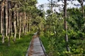 tinovul mare jpg