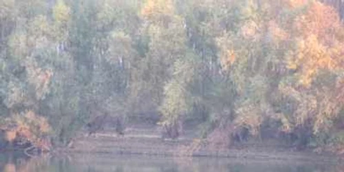 Toamnă târzie