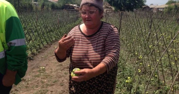 Grindina a distrus grădiinile şi terenurile agricole în comuna doljeană Galicea Mare