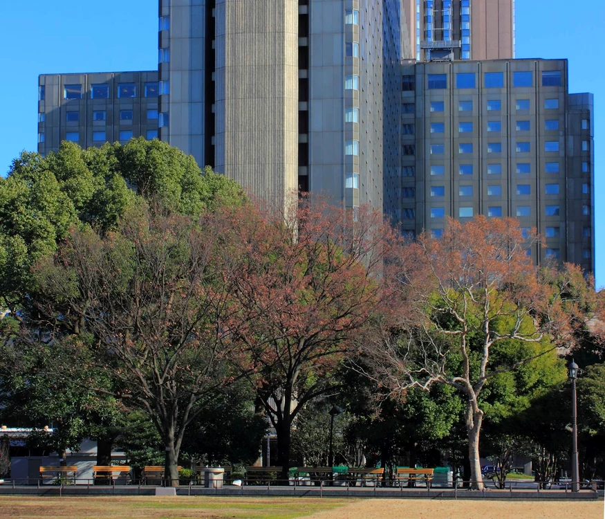 Aer de Tokyo jpeg