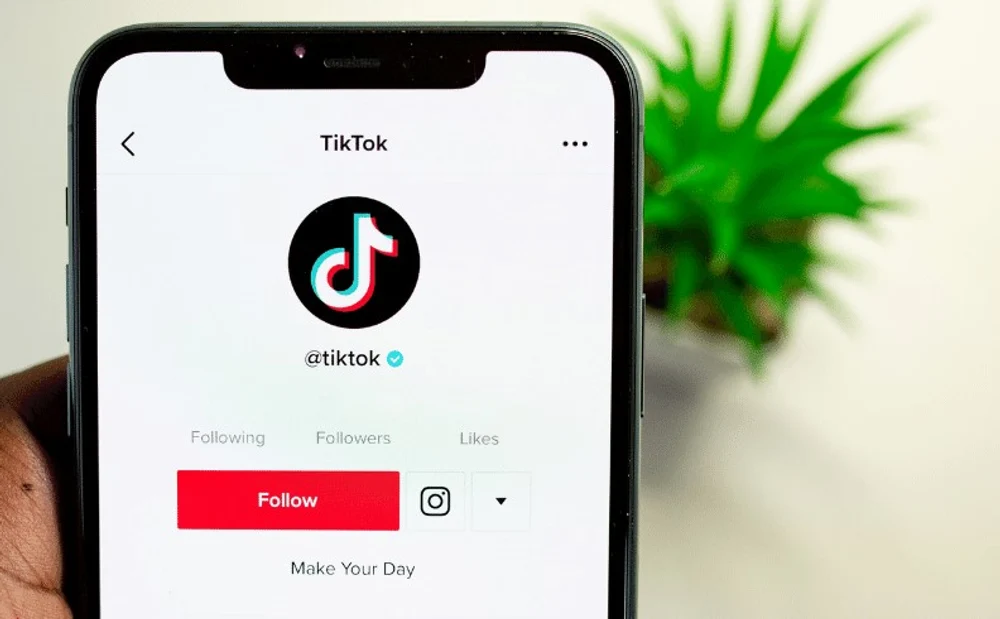 CNA solicită TikTok să șteargă 84 de conturile false care manipulează utilizatorii din România
