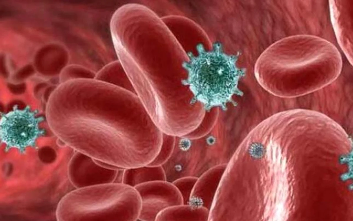 Bacteria din gură care accelerează creşterea celulelor canceroase