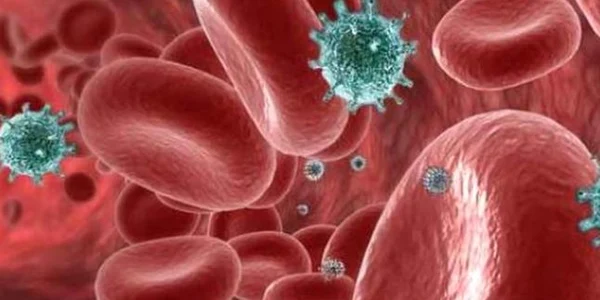 Bacteria din gură care accelerează creşterea celulelor canceroase