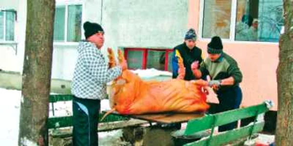 Animalul a fost tăiat pe masa de şah 