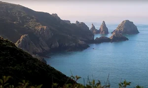 Guernsey jpg