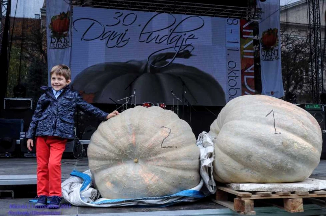 Festivalul Dovleacului de la Kikinda