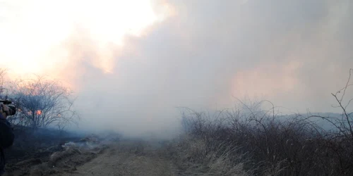 Incendiul a cuprins o mare suprafaţă de teren Foto: Arhivă Adevărul