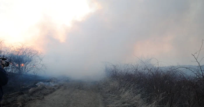 Incendiul a cuprins o mare suprafaţă de teren Foto: Arhivă Adevărul