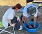 Săpături arheologice în situl de la Glina-Bălăceanca (© Muzeul Municipiului București)