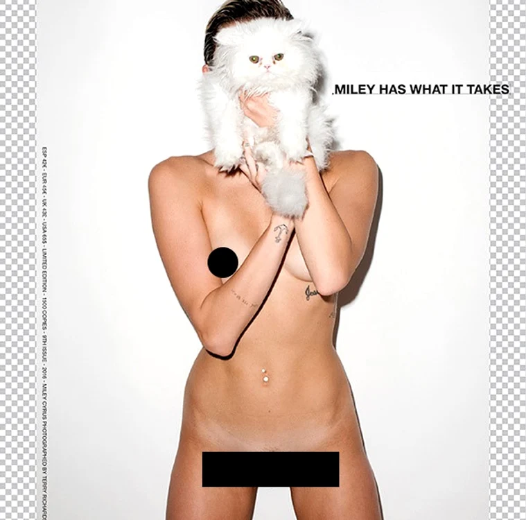 Miley a participat la multe ședințe foto, complet nud, și chiar în ipostaze pornograficefoto: Arhiva personală