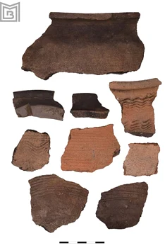 Descoperiri arheologice în Parcul Tineretului (©  Muzeul Municipiului București)