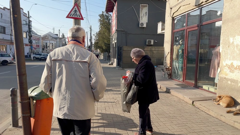 Oraș din Dolj, sub asaltul maidanezilor. Doi copii au fost mușcați: „Problema este mai veche. În ultimul an nu s-a făcut nimic”