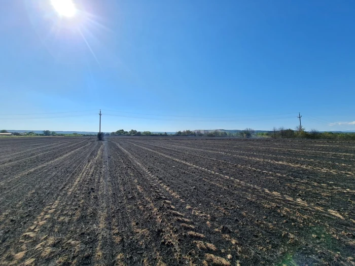 Lan de grâu din Diculeşti - Vâlcea cuprins de flăcări o persoană arsă şi alte şase cu atacuri de panică Foto ISU Vâlcea