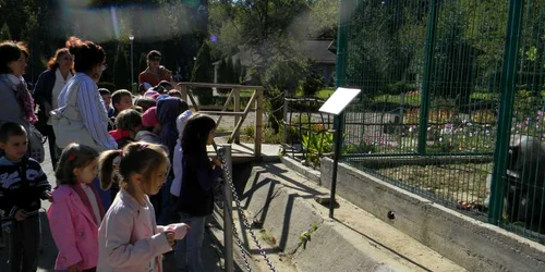 Copiii sunt așteptați la Grădina Zoologică