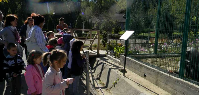 Copiii sunt așteptați la Grădina Zoologică