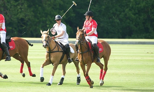 Printul Harry si Jack Man   profimedia 0246844848 jpg