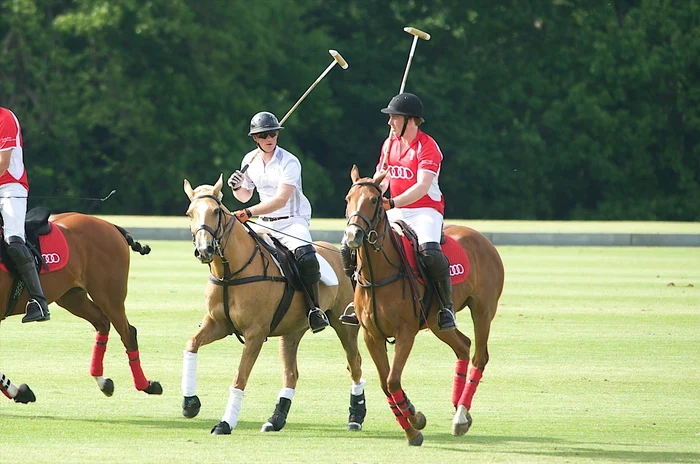 Printul Harry si Jack Man   profimedia 0246844848 jpg