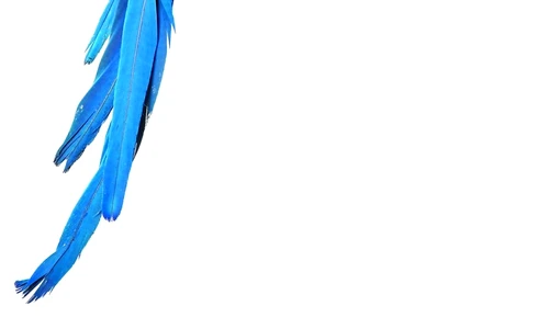 1 46772 original jpg jpeg