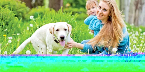 Persoanele care au câini sunt  într-o formă fizică mai bună,  arată studiile