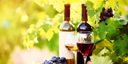 Vinuri FOTO Wineofmoldova jpg