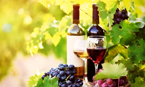 Vinuri FOTO Wineofmoldova jpg