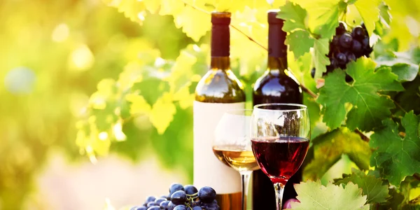 Vinuri FOTO Wineofmoldova jpg