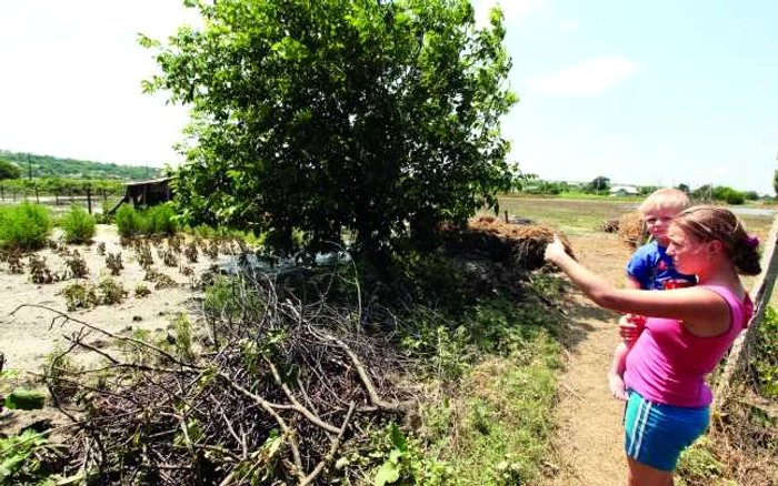 Şuvoaiele de apă au făcut una cu pământul culturile agricole din grădini FOTO Dumitru Goncear