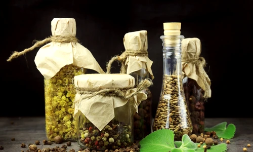 1 shutterstock 1312619366 jpg jpeg