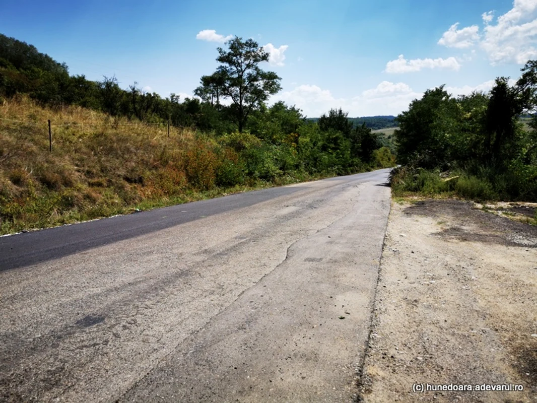 Drumul de pe malul LAcului Cinciș, Foto Daniel Guță, Adevărul (1) jpg