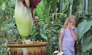 24 pe glob foto 7 2 col guliver getty images jpeg