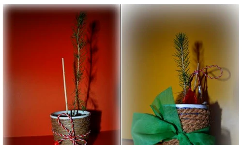 1 56091 original jpg jpeg