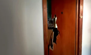 apartament 1 jpg