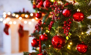 Brad Crăciun Foto Brazi de Crăciun jpeg